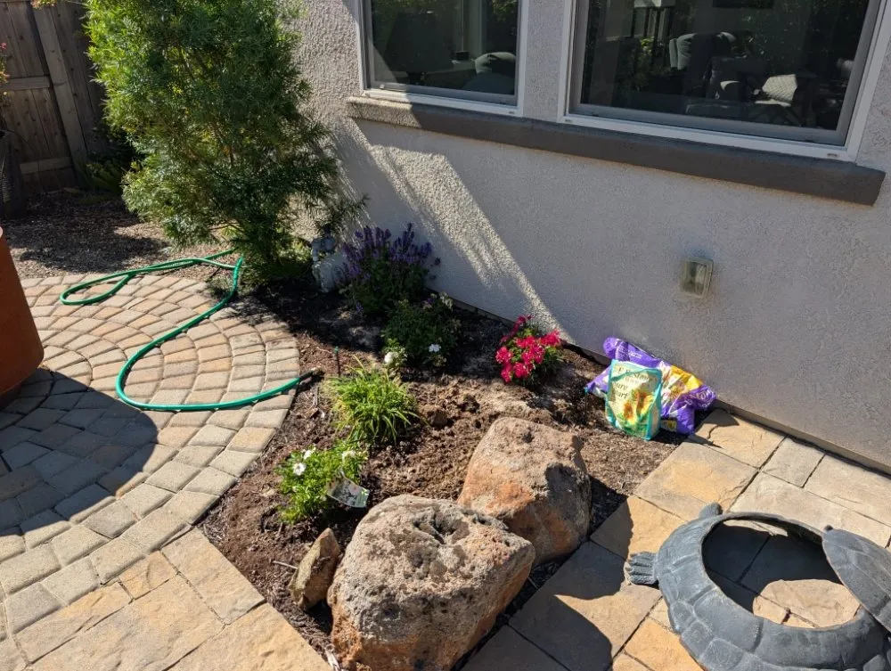 Affordable yard cleanup service in Placerville, CA - Haith Lawn Care