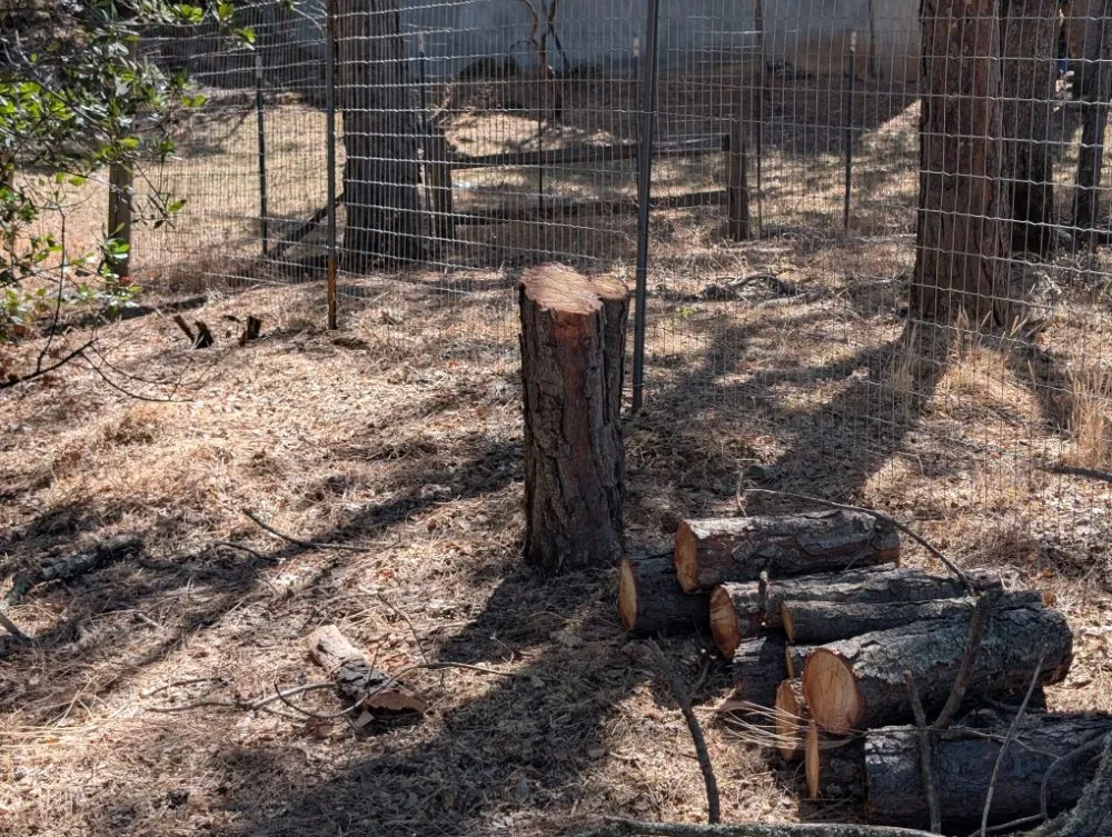 Local outdoor landscaping experts serving Placerville, CA - Haith Lawn Care