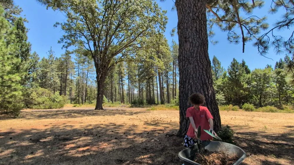 Local landscape design for beautiful yards across Placerville, CA - Haith Lawn Care