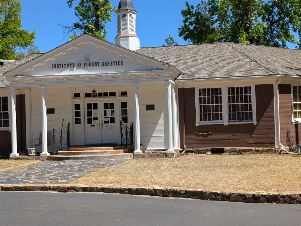 Reliable lawn mowing service in Placerville, CA by Haith Lawn Care