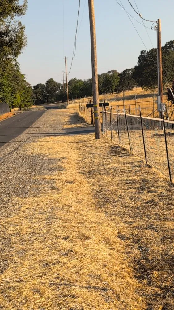 Affordable lawn mowing service for beautiful yards across Placerville, CA - Haith Lawn Care