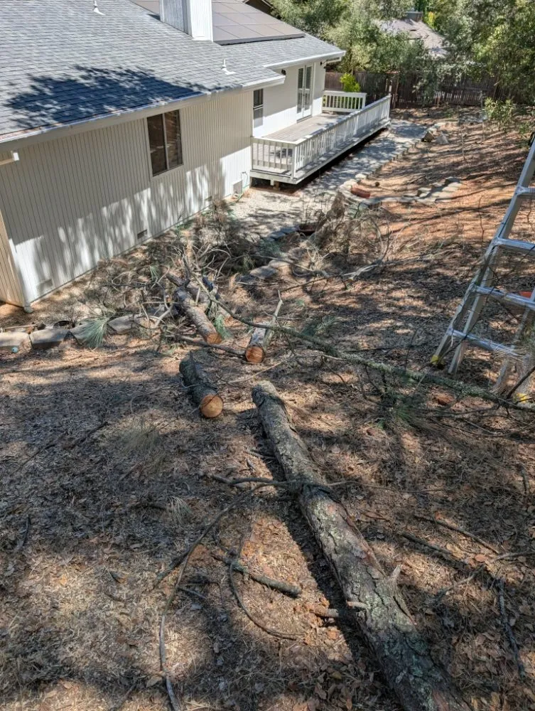 Custom landscape installation for residential properties across Placerville, CA - Haith Lawn Care