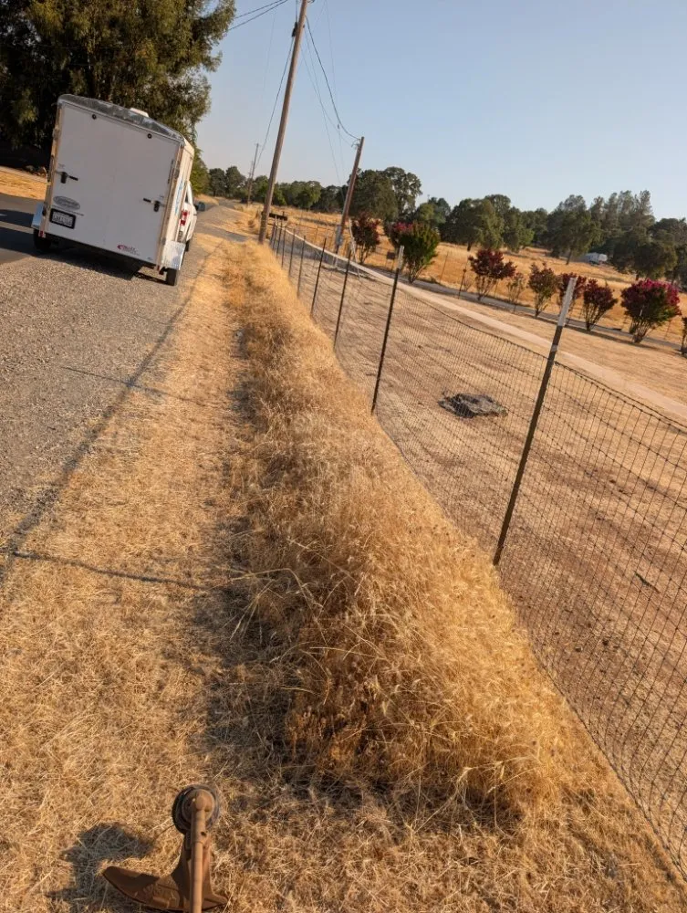 Top-rated lawn care service in Placerville, CA by Haith Lawn Care