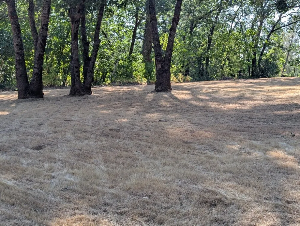 Local landscape installation experts serving Placerville, CA - Haith Lawn Care