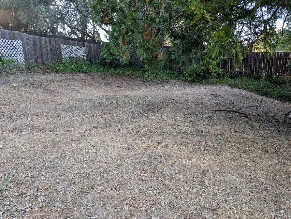 Professional yard cleanup service in Placerville, CA - Haith Lawn Care