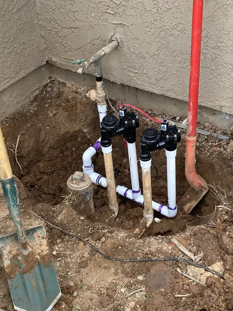 Local yard maintenance in Fresno, CA by Hal Landscaping and Trees