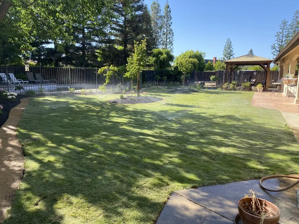Local outdoor landscaping in Fresno, CA by Hal Landscaping and Trees