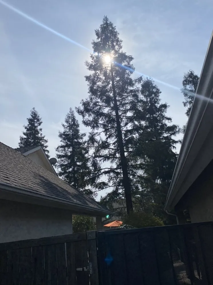 Custom landscape design with custom design across Fresno, CA - Hal Landscaping and Trees