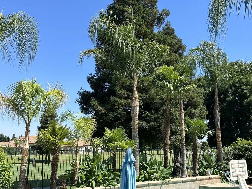 Expert outdoor landscaping near you in Fresno, CA by Hal Landscaping and Trees