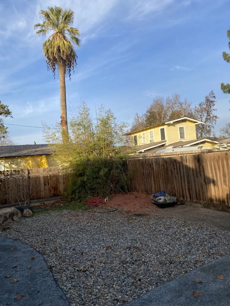 Affordable lawn mowing service in Fresno, CA by Hal Landscaping and Trees