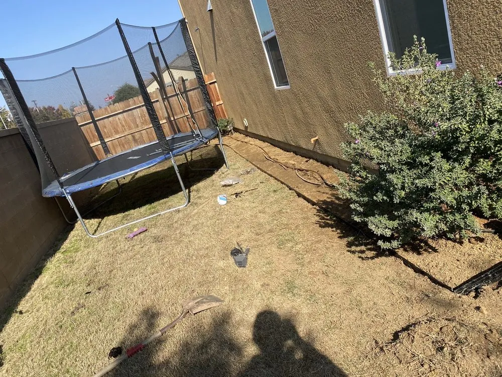 Professional yard maintenance in Fresno, CA by Hal Landscaping and Trees