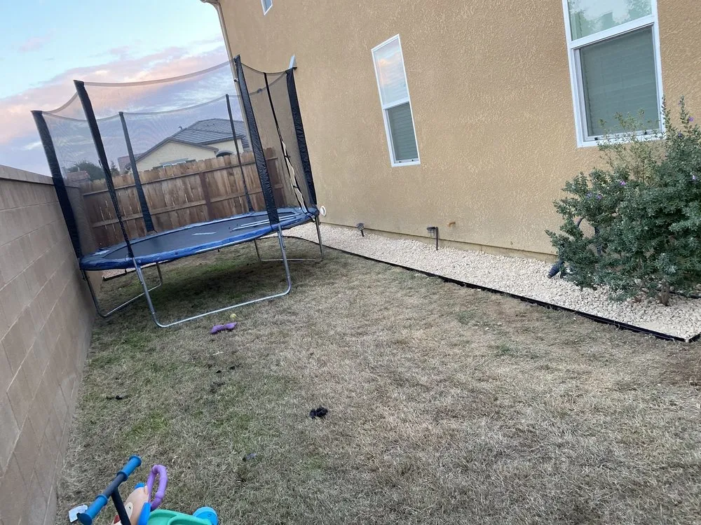 Expert outdoor landscaping in Fresno, CA by Hal Landscaping and Trees