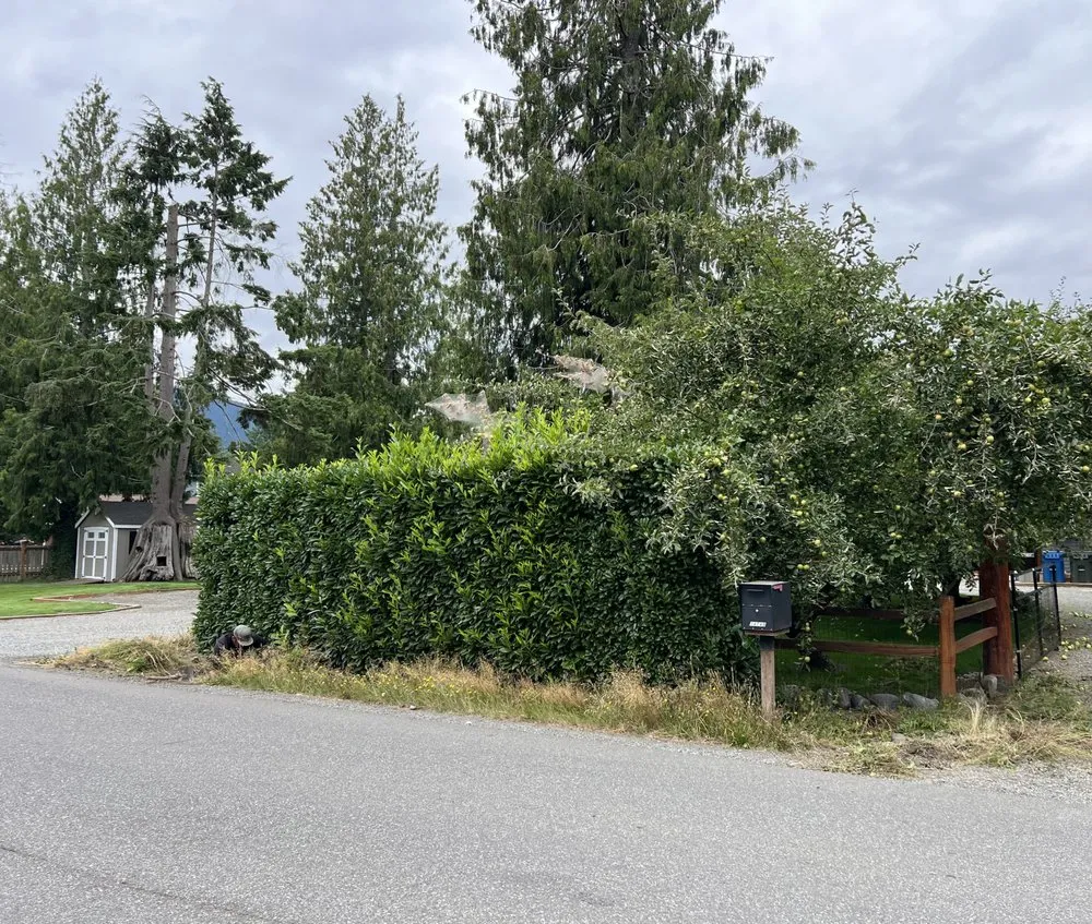 Custom outdoor landscaping experts serving Olympia, WA - Halcon Landscape