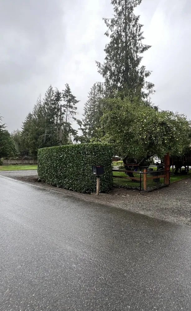 Trusted landscape design in Olympia, WA by Halcon Landscape