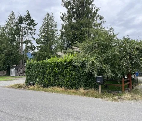 Halcon Landscape Logo