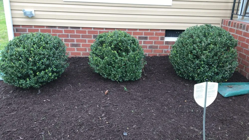 Expert garden landscaping in Denton, MD - Halcon Landscaping