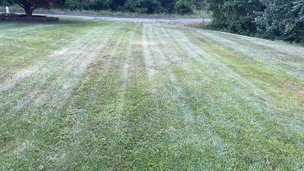 Expert yard maintenance in Denton, MD - Halcon Landscaping