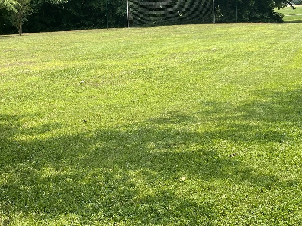 Expert lawn care service in Denton, MD by Halcon Landscaping