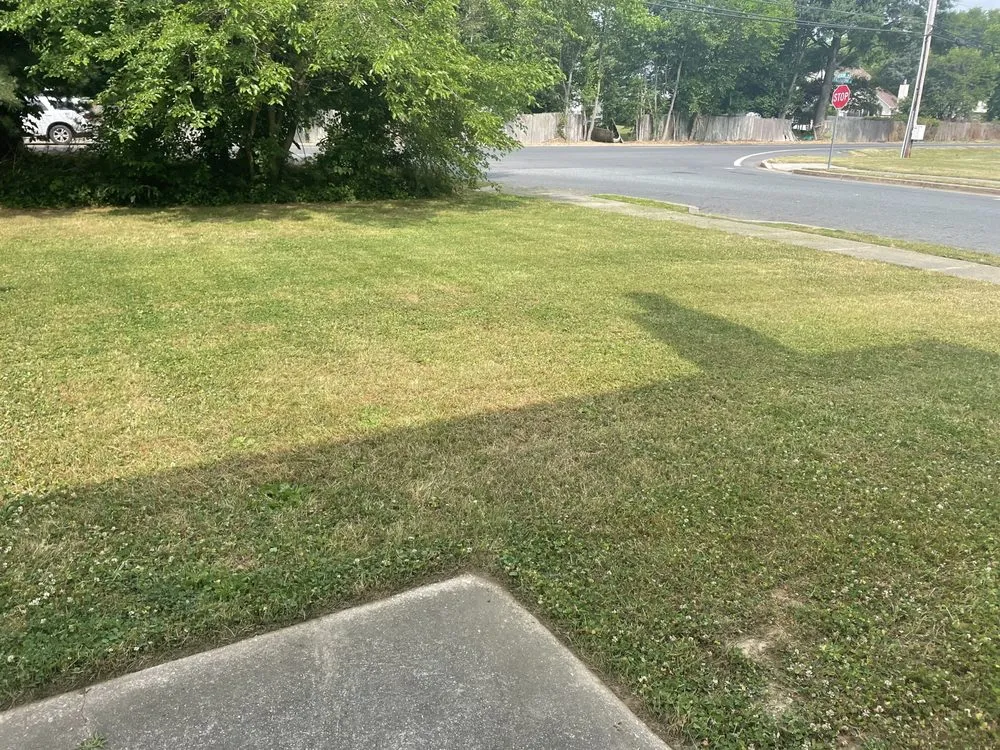 Affordable landscape design experts serving Denton, MD - Halcon Landscaping