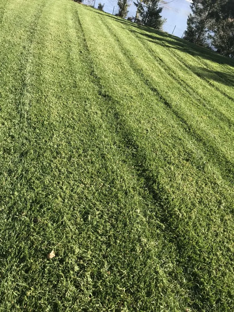 Custom lawn care service for year-round maintenance in Denton, MD by Halcon Landscaping