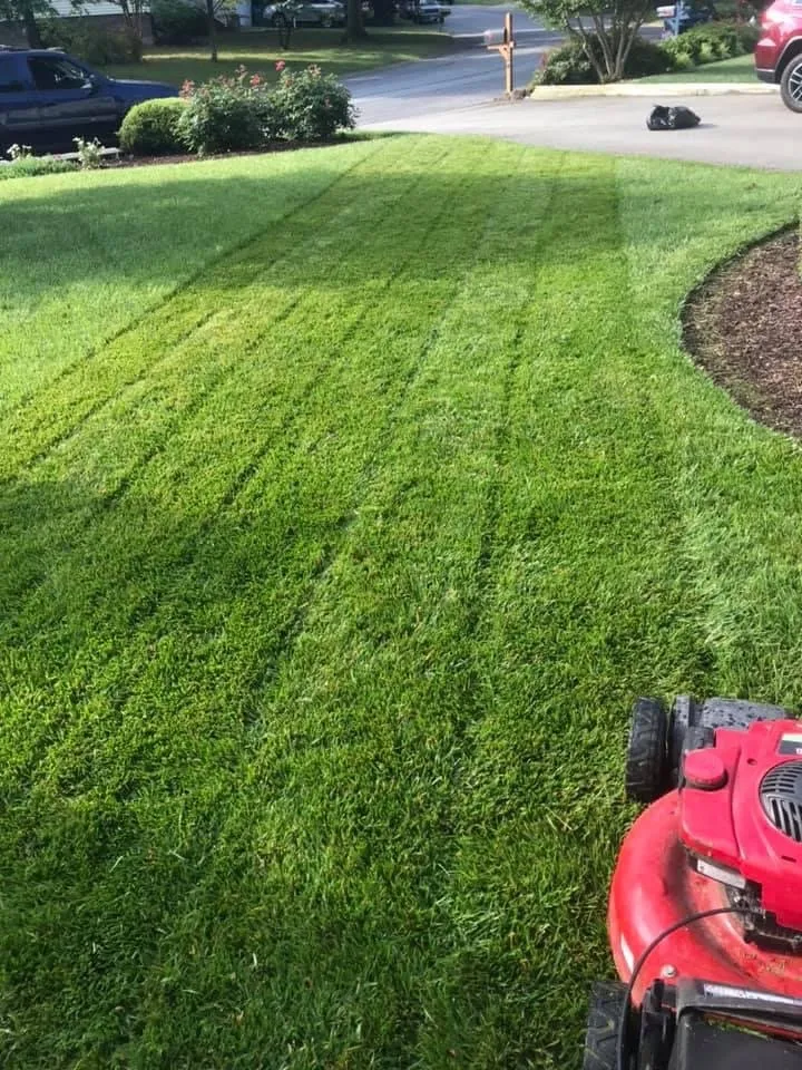 Reliable residential landscaping in Denton, MD - Halcon Landscaping