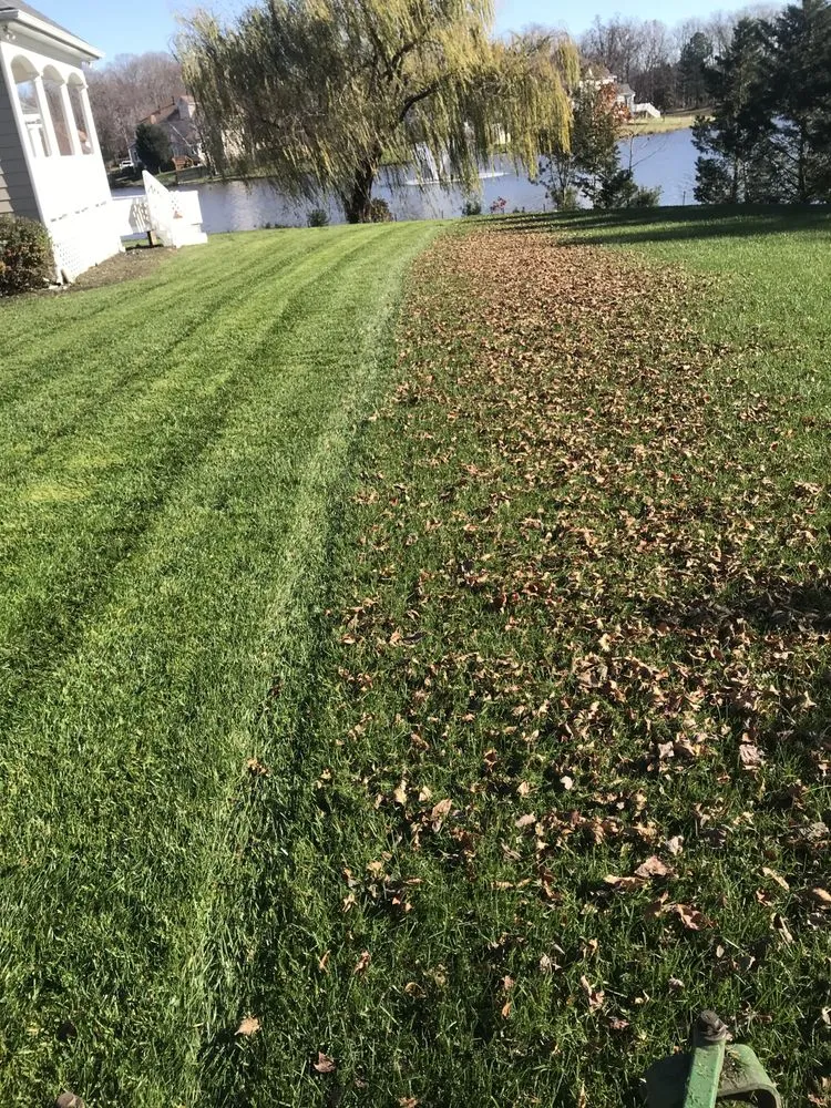 Affordable landscape design in Denton, MD by Halcon Landscaping