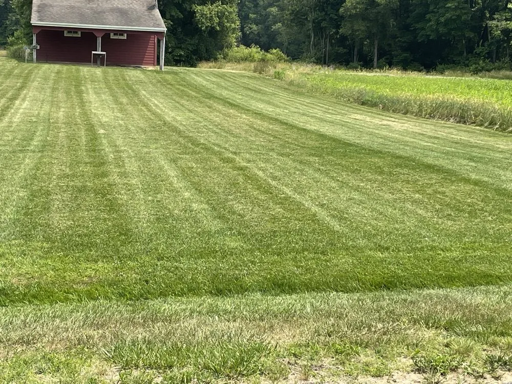 Affordable landscape installation in Denton, MD by Halcon Landscaping