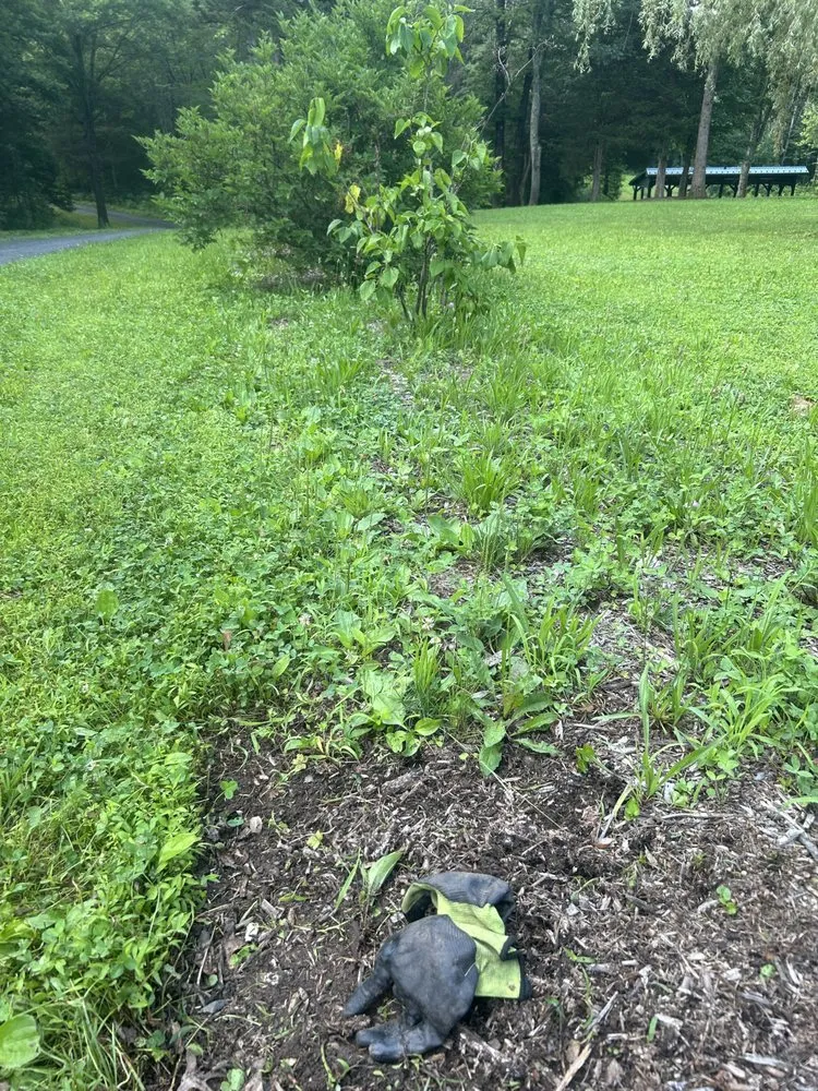 Reliable landscape installation experts serving Kingston, NY - Halcon Landscaping