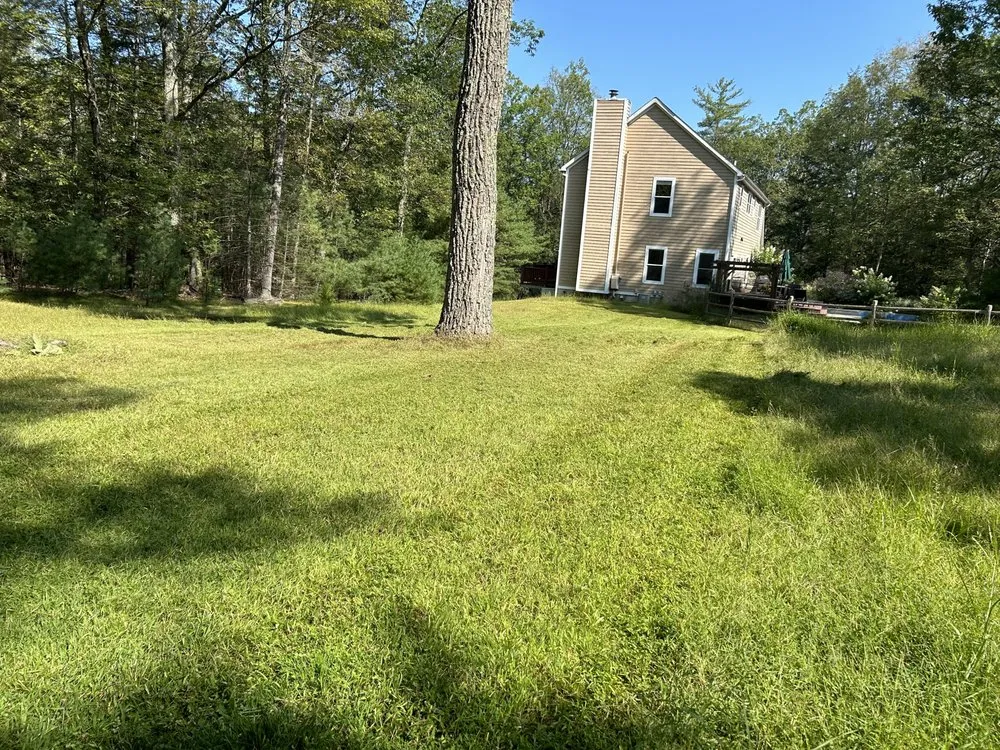 Trusted yard cleanup service in Kingston, NY - Halcon Landscaping