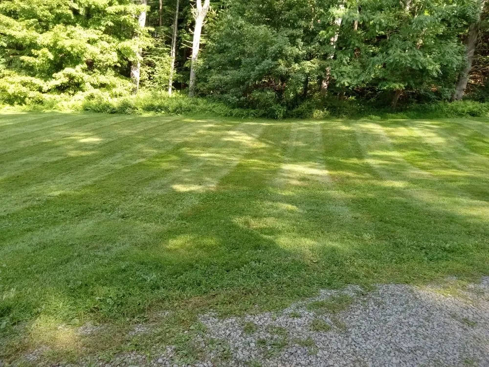 Affordable yard cleanup service for residential properties in Kingston, NY by Halcon Landscaping