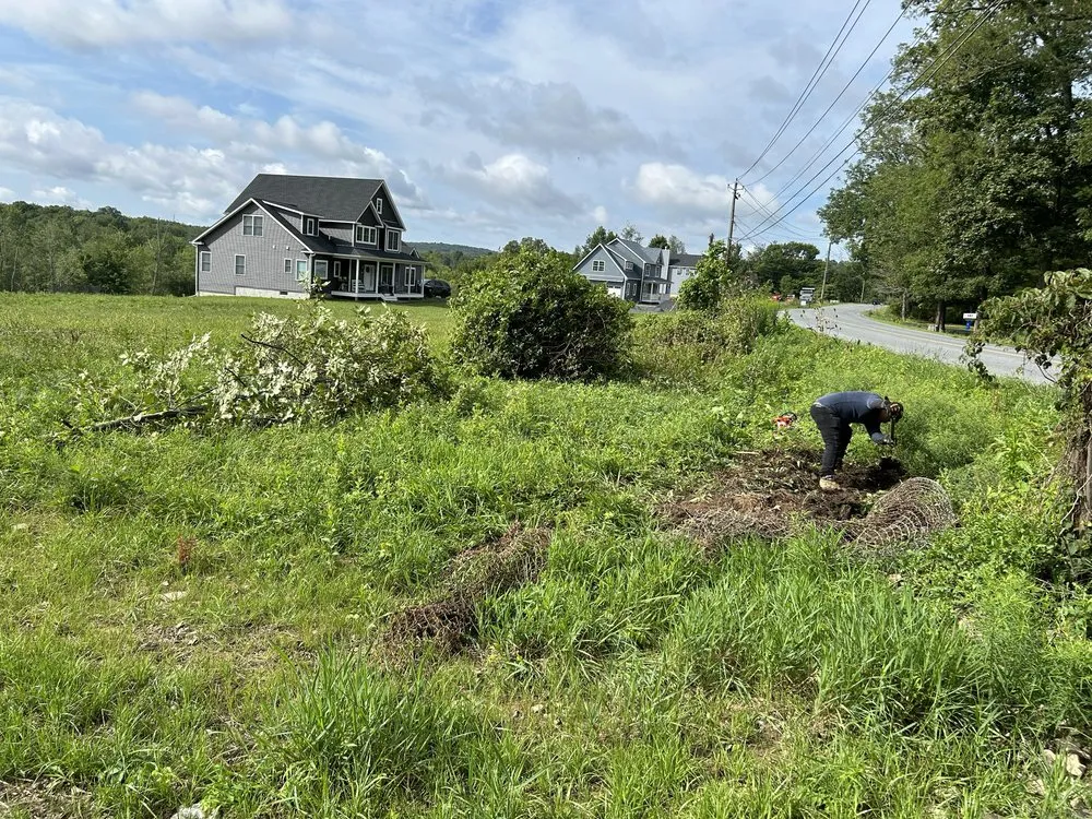Custom yard cleanup service in Kingston, NY - Halcon Landscaping