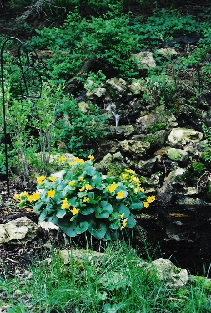 Custom residential landscaping in Menomonie, WI - Halcyon Landscape Service