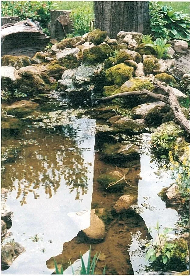 Expert yard cleanup service in Menomonie, WI by Halcyon Landscape Service