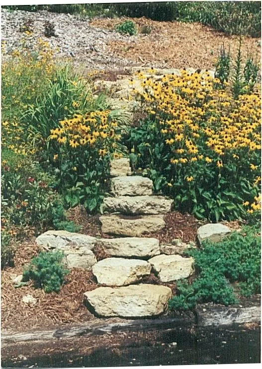 Professional yard maintenance in Menomonie, WI by Halcyon Landscape Service