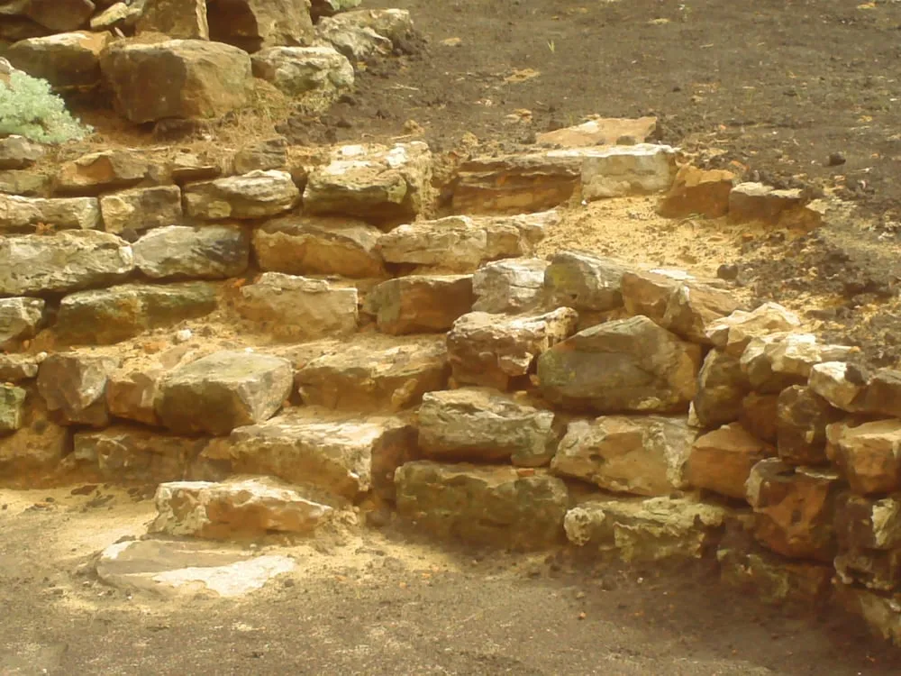 Top-rated yard cleanup service experts serving Menomonie, WI - Halcyon Landscape Service