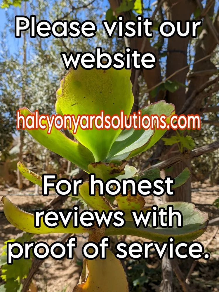 Professional garden landscaping in Pittsburg, CA by Halcyon Yard Solutions