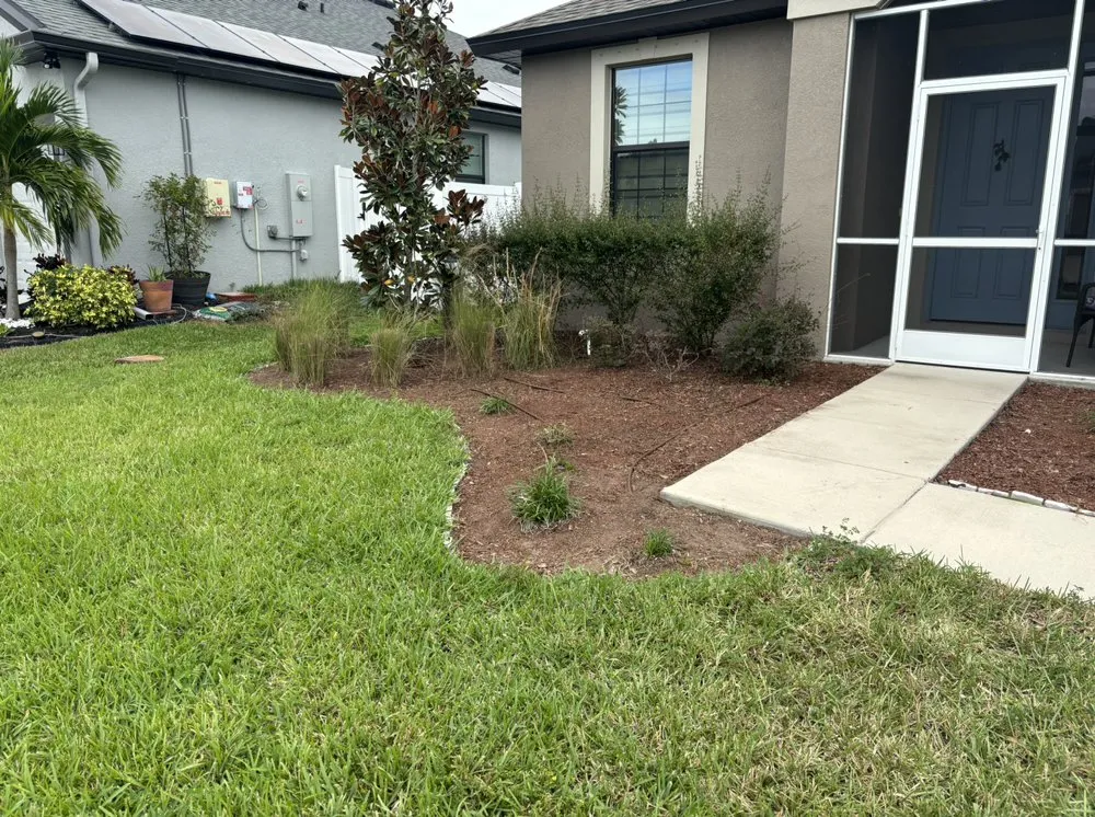 Expert landscaping services for beautiful yards across Tampa Bay, FL - Hale Lawn and Landscaping