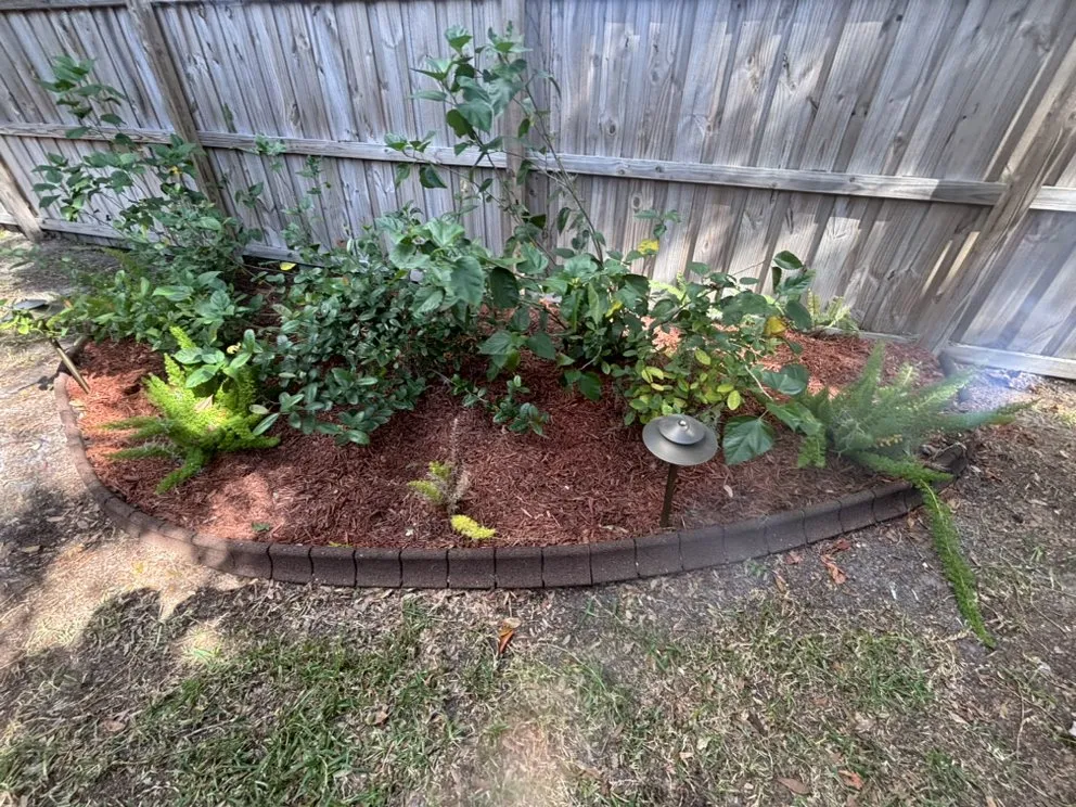 Top-rated yard cleanup service in Tampa Bay, FL - Hale Lawn and Landscaping