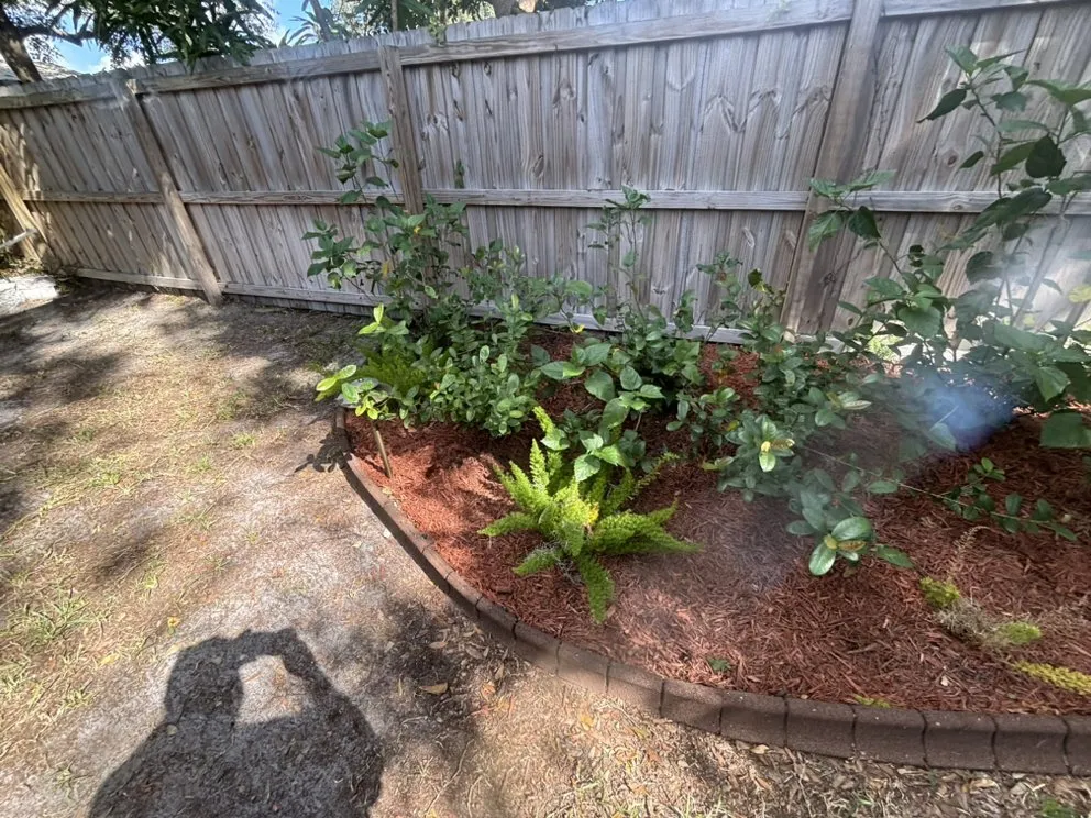 Reliable yard maintenance in Tampa Bay, FL by Hale Lawn and Landscaping