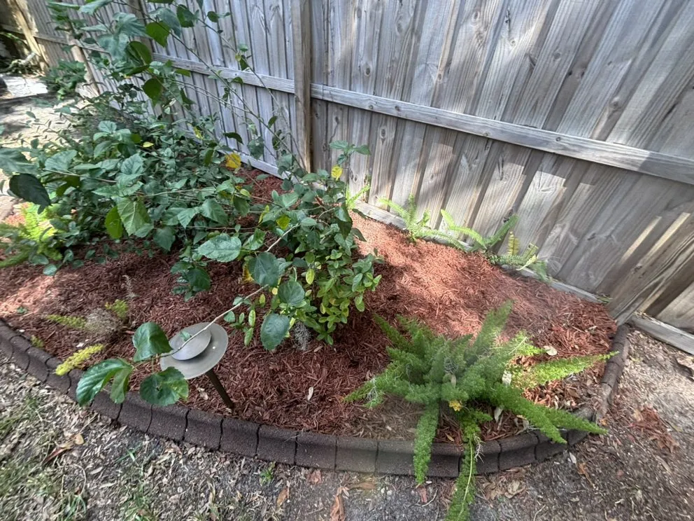 Affordable yard maintenance in Tampa Bay, FL - Hale Lawn and Landscaping