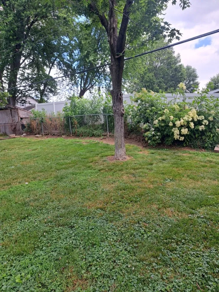 Custom lawn mowing service experts serving Swansea, IL - Hale outdoor Professional Lawn Care