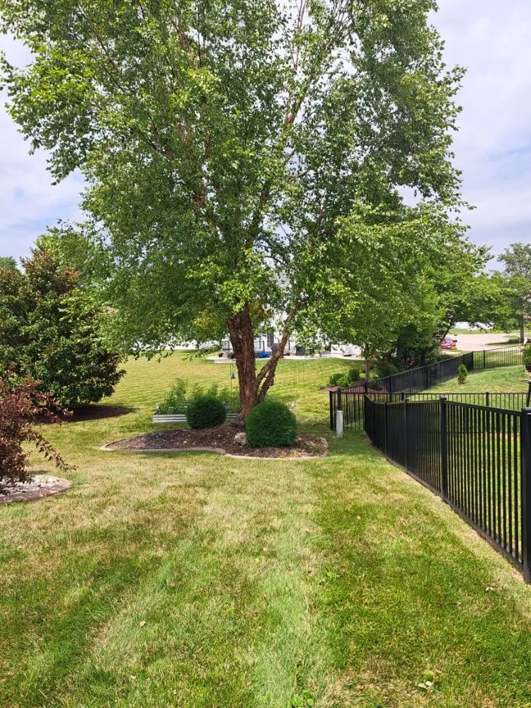 Expert lawn mowing service in Swansea, IL - Hale outdoor Professional Lawn Care