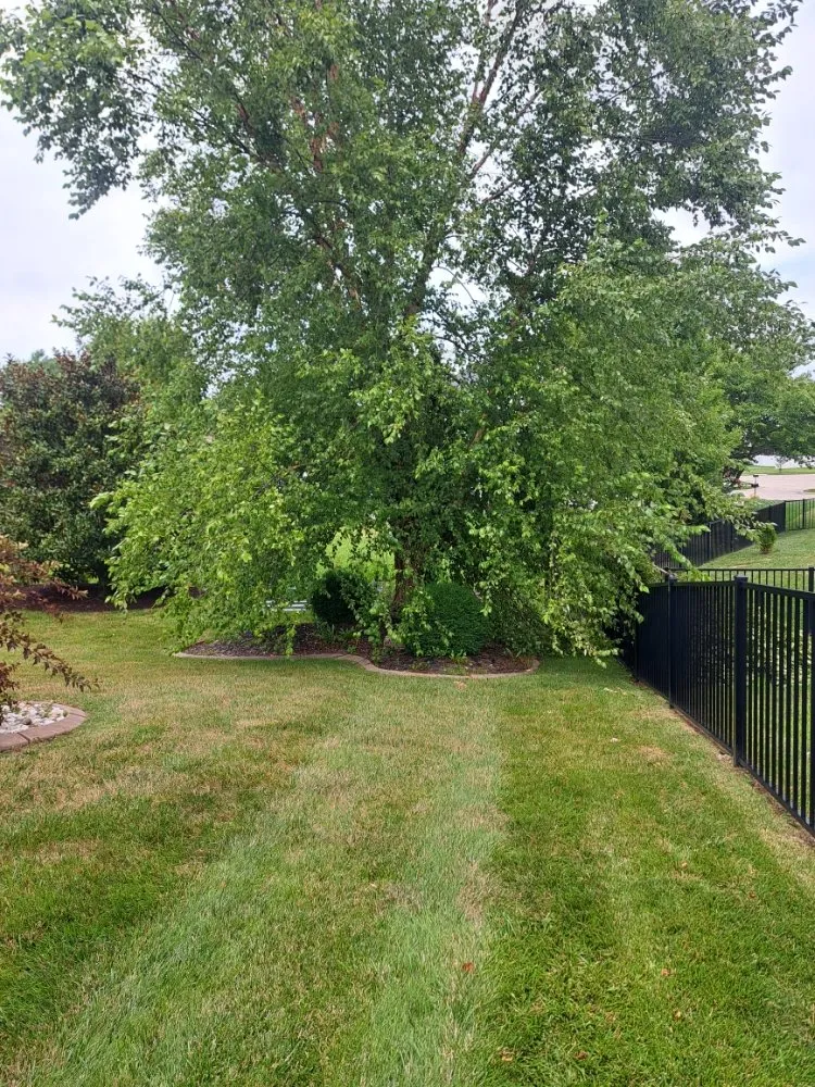 Expert residential landscaping experts serving Swansea, IL - Hale outdoor Professional Lawn Care
