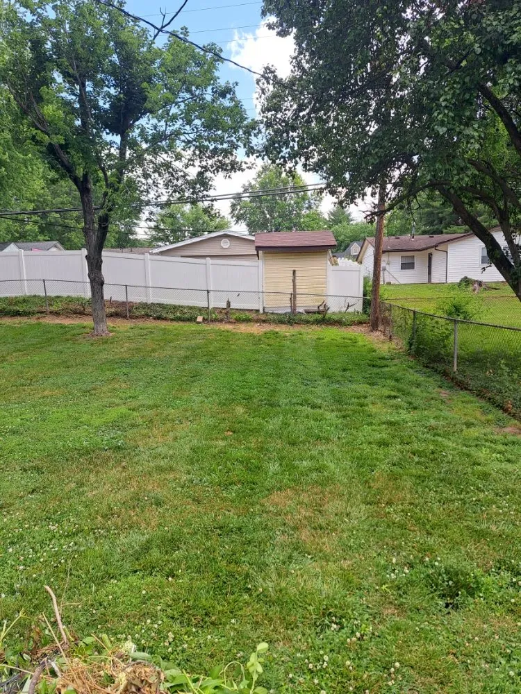 Reliable yard cleanup service in Swansea, IL - Hale outdoor Professional Lawn Care