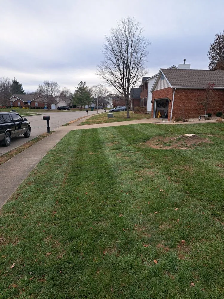 Custom lawn care service in Swansea, IL - Hale outdoor Professional Lawn Care
