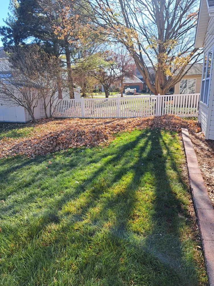 Local landscape installation for outdoor upgrades across Swansea, IL - Hale outdoor Professional Lawn Care