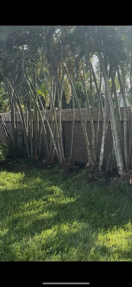 Affordable lawn mowing service in Cape Coral, FL by Hale solutions