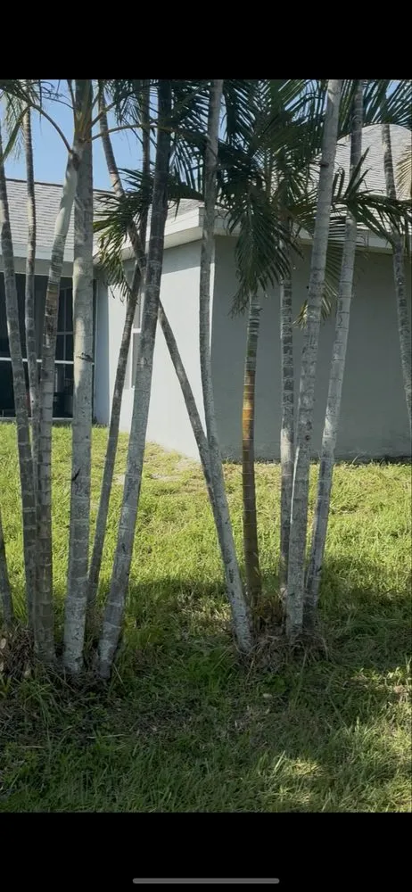 Professional yard maintenance experts serving Cape Coral, FL - Hale solutions