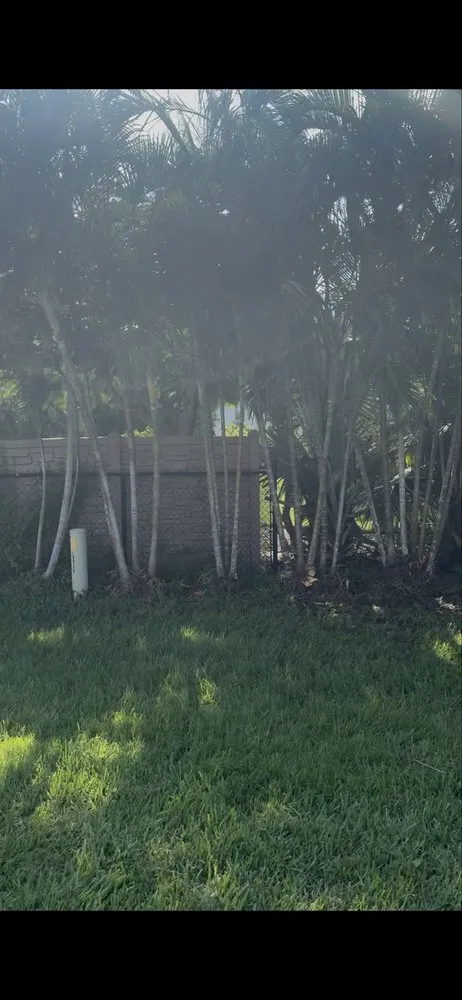 Expert landscaping services near you across Cape Coral, FL - Hale solutions