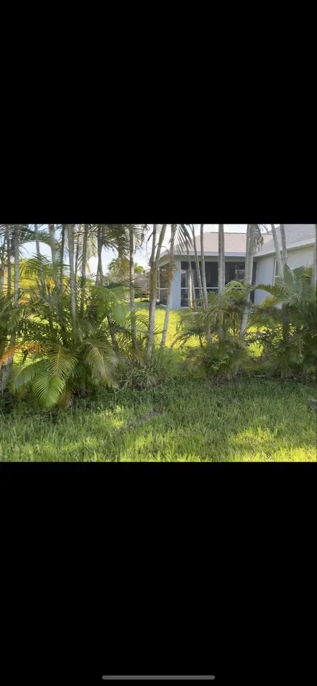 Professional lawn mowing service for year-round maintenance across Cape Coral, FL - Hale solutions